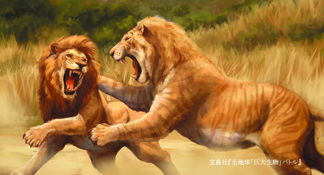 ライオンとライガーが戦う様子イラスト